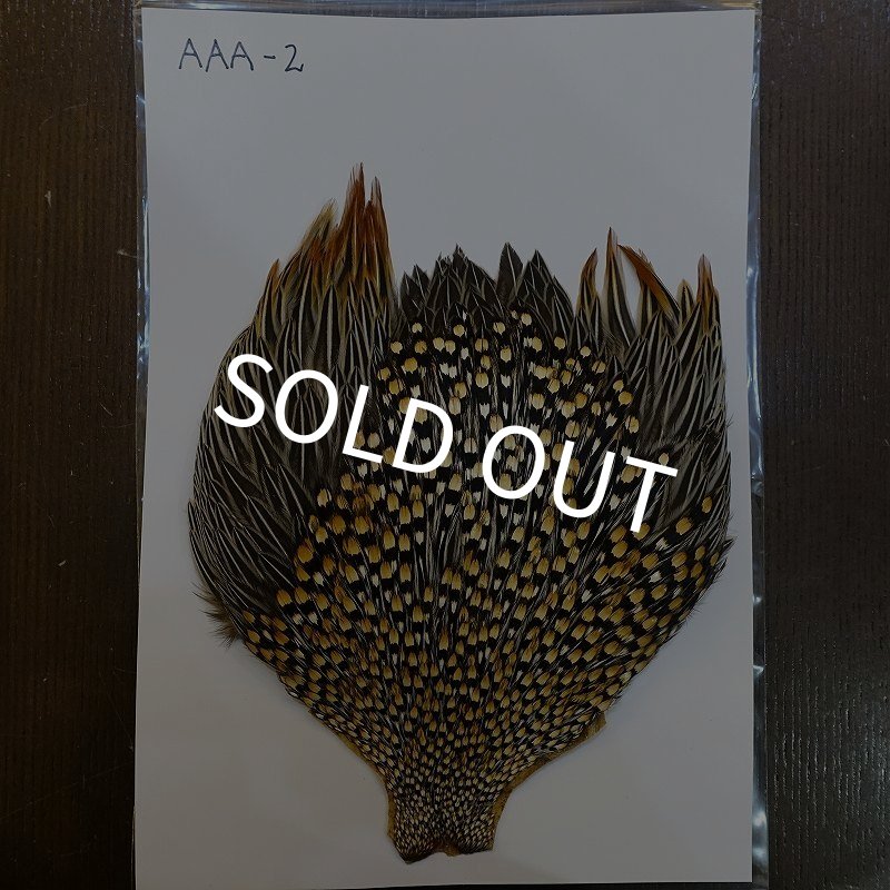 ジャングルコック AAA-2