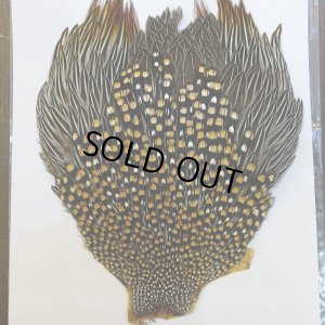 画像2: ジャングルコック S-1