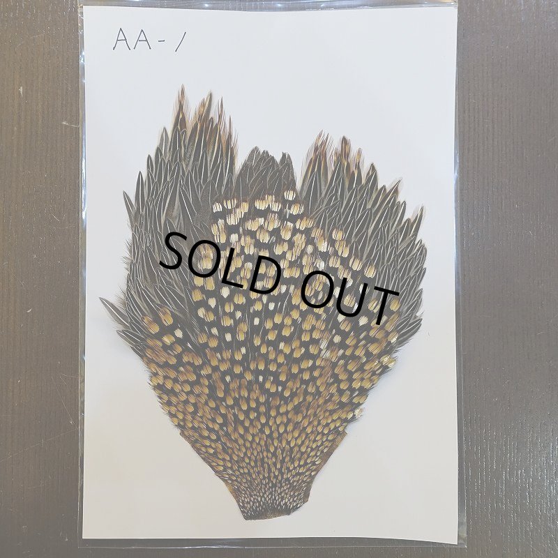 画像1: ジャングルコック AA-1 (1)