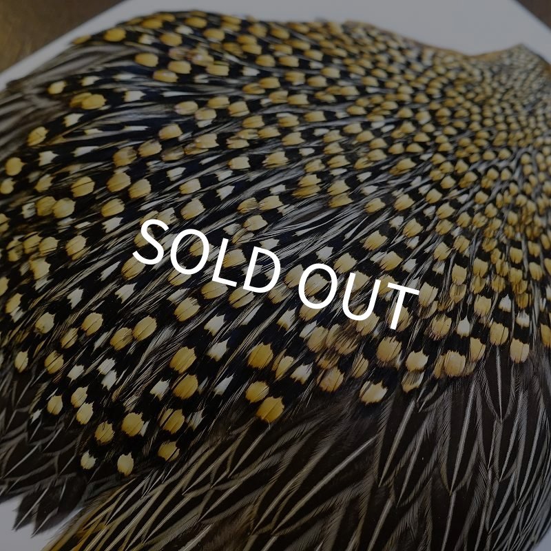 画像7: ジャングルコック AAA-2 (7)