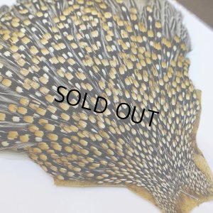 画像3: ジャングルコック AAA-3