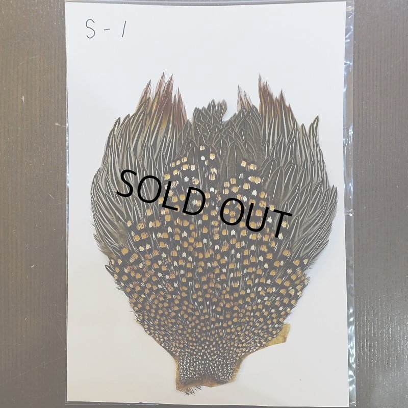 画像1: ジャングルコック S-1 (1)