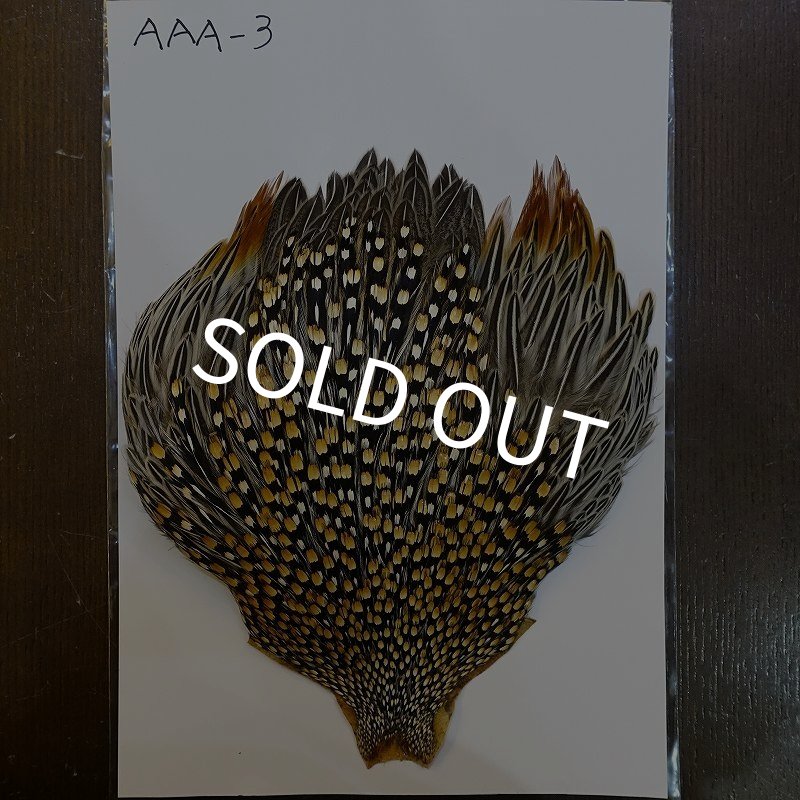 画像1: ジャングルコック AAA-3 (1)