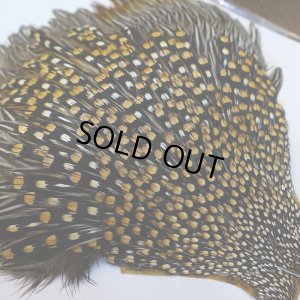 画像6: ジャングルコック S-2