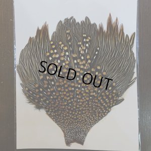 画像2: ジャングルコック S-2