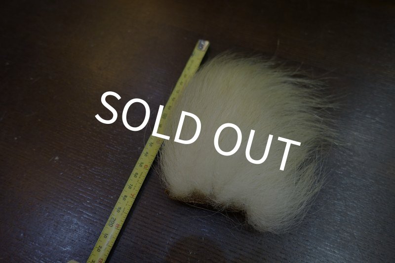 画像1: 【D】ポーラーベアー　ナチュラル　ラージカット 5 (1)