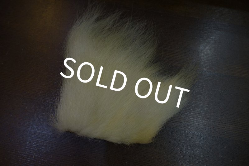 画像4: 【D】ポーラーベアー　ナチュラル　ラージカット 6 (4)