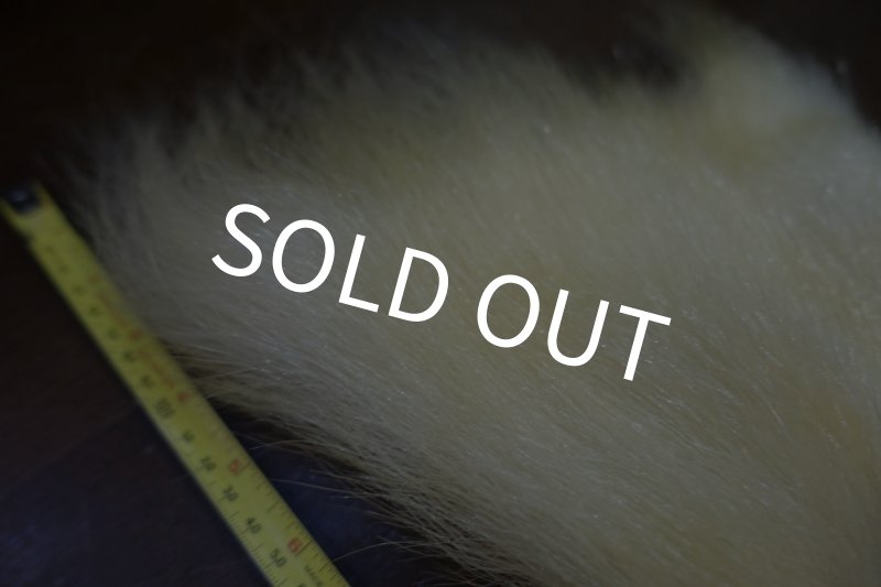 画像3: 【D】ポーラーベアー　ナチュラル　ラージカット 6 (3)