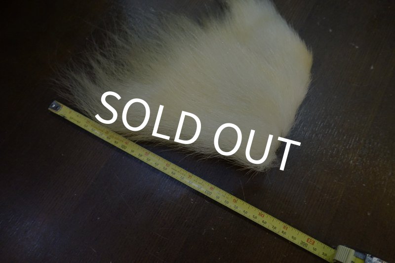 画像1: 【D】ポーラーベアー　ナチュラル　ラージカット 6 (1)