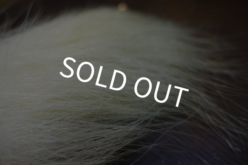 画像3: 【D】ポーラーベアー　ナチュラル　ラージカット 5 (3)