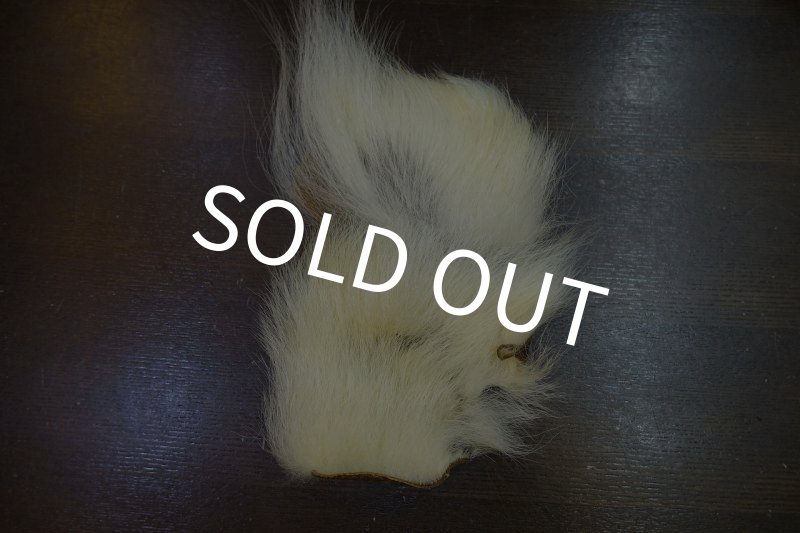 画像5: 【D】ポーラーベアー　ナチュラル　ラージカット 7 (5)