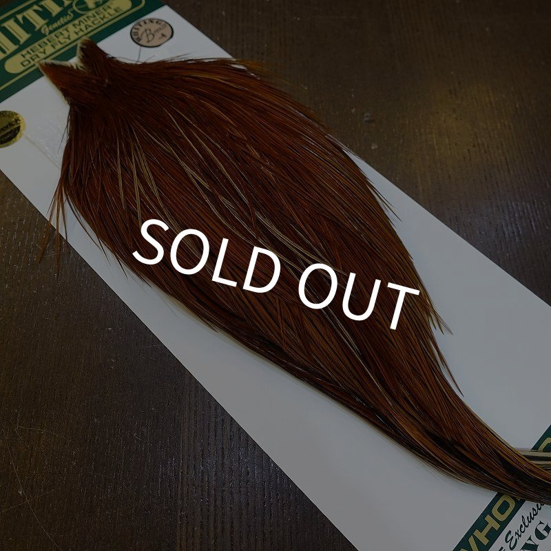 画像2: 【WHITING】Hebert ROOSTER CAPE Bronze Grade - Medium Brown No.2 (2)