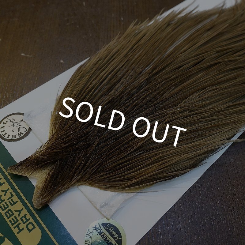 画像3: 【WHITING】Hebert Silver Grade Cape - BROWN GREY DUN (3)