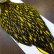 画像3: 【WHITING】American Hen Cape BLW/YELLOW (3)