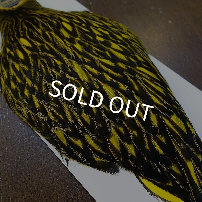 画像3: 【WHITING】American Hen Cape BLW/YELLOW (3)