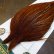 画像3: 【WHITING】Hebert ROOSTER CAPE Bronze Grade - Medium Brown No.2 (3)