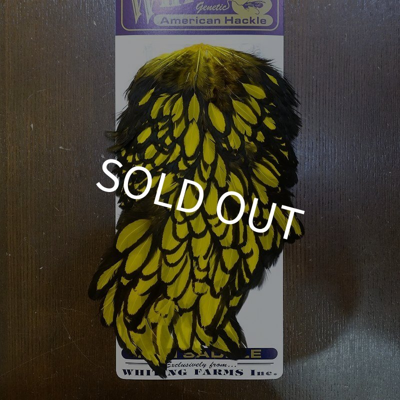 画像1: 【WHITING】American Hen Saddle BLW/YELLOW (1)