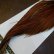 画像5: 【WHITING】Hebert ROOSTER CAPE Bronze Grade - Medium Brown No.2 (5)