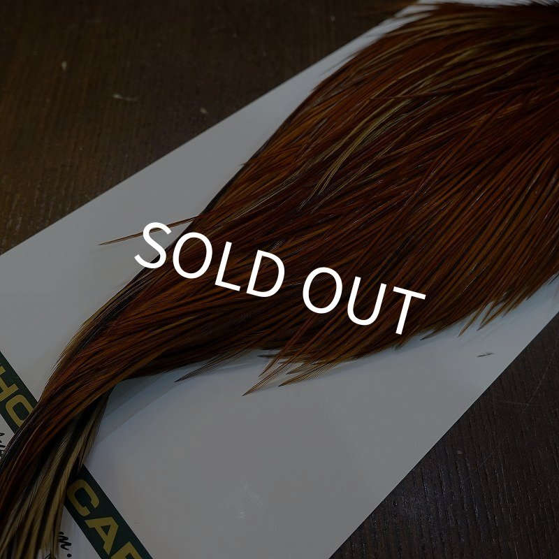 画像5: 【WHITING】Hebert ROOSTER CAPE Bronze Grade - Medium Brown No.2 (5)