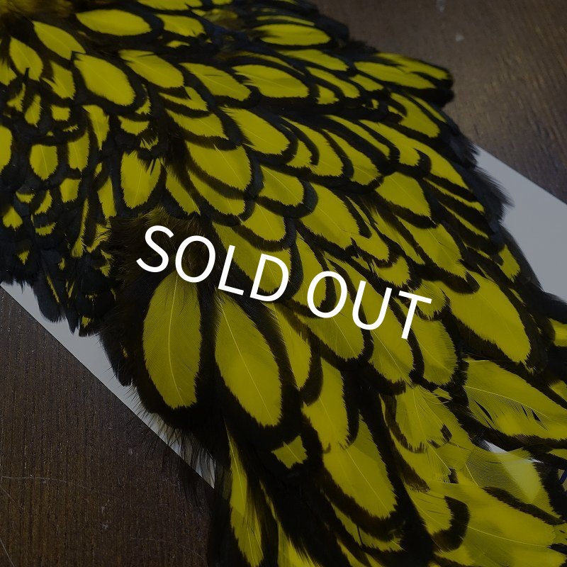 画像3: 【WHITING】American Hen Saddle BLW/YELLOW (3)