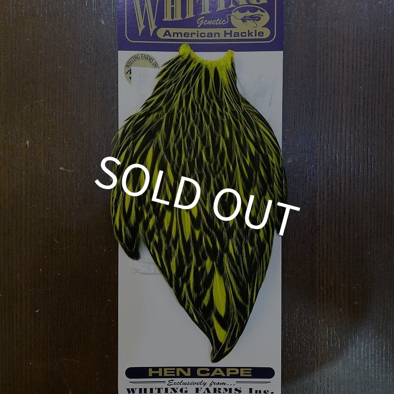 画像1: 【WHITING】American Hen Cape BLW/FL YELLOW CHART (1)