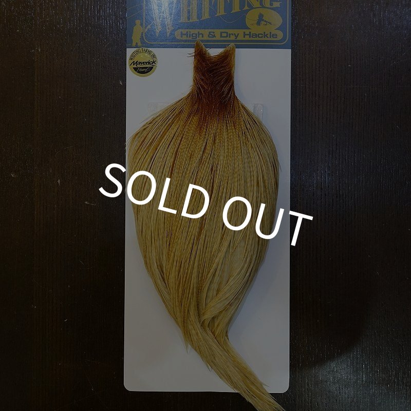 画像1: 【WHITING】High & Dry ROOSTER Cape - Barred Medium Ginger No.2 (1)