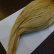 画像5: 【WHITING】High & Dry ROOSTER Cape - Barred Medium Ginger No.2 (5)