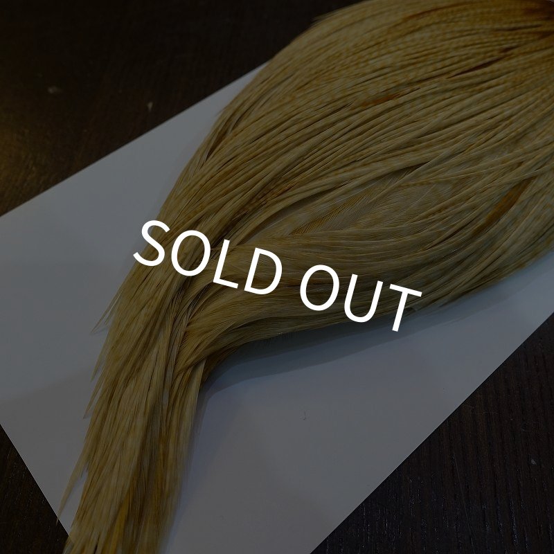 画像5: 【WHITING】High & Dry ROOSTER Cape - Barred Medium Ginger No.2 (5)