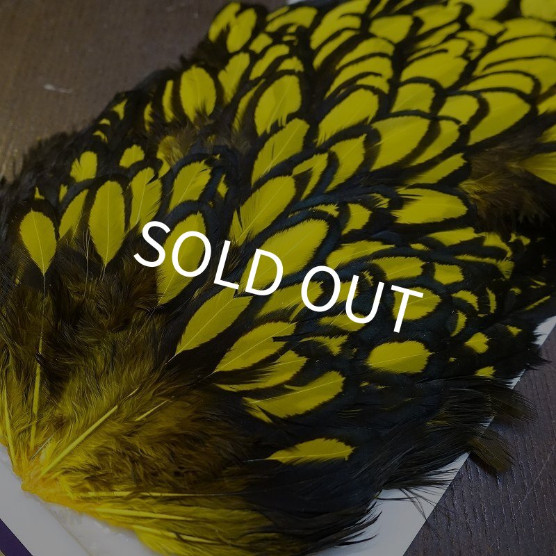 画像2: 【WHITING】American Hen Saddle BLW/YELLOW (2)