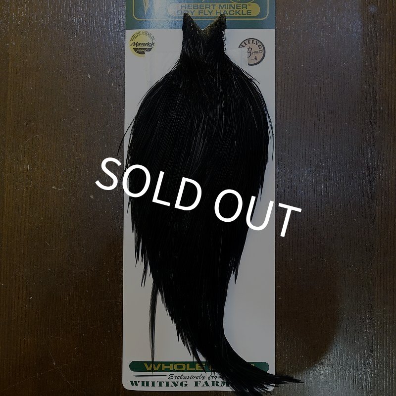 画像1: 【WHITING】Hebert Bronze Grade Cape DyedBlack No.2 (1)