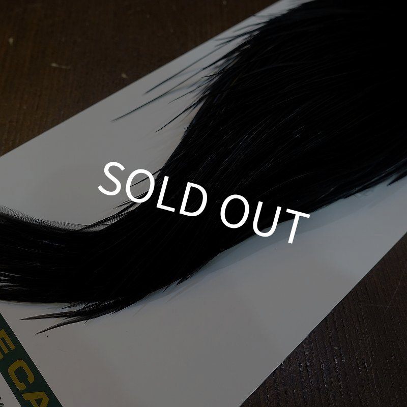 画像5: 【WHITING】Hebert Bronze Grade Cape DyedBlack No.3 (5)