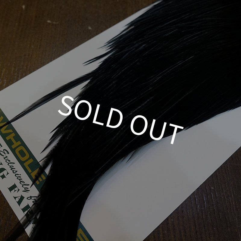 画像5: 【WHITING】Hebert Bronze Grade Cape DyedBlack No.2 (5)