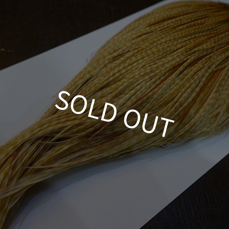 画像5: 【WHITING】High & Dry ROOSTER Cape - Barred Medium Ginger No.1 (5)