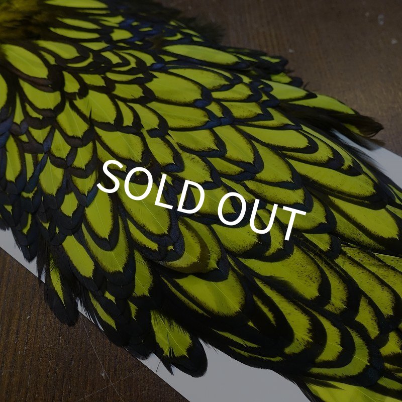 画像3: 【WHITING】American Hen Saddle BLW/FL YELLOW CHART (3)