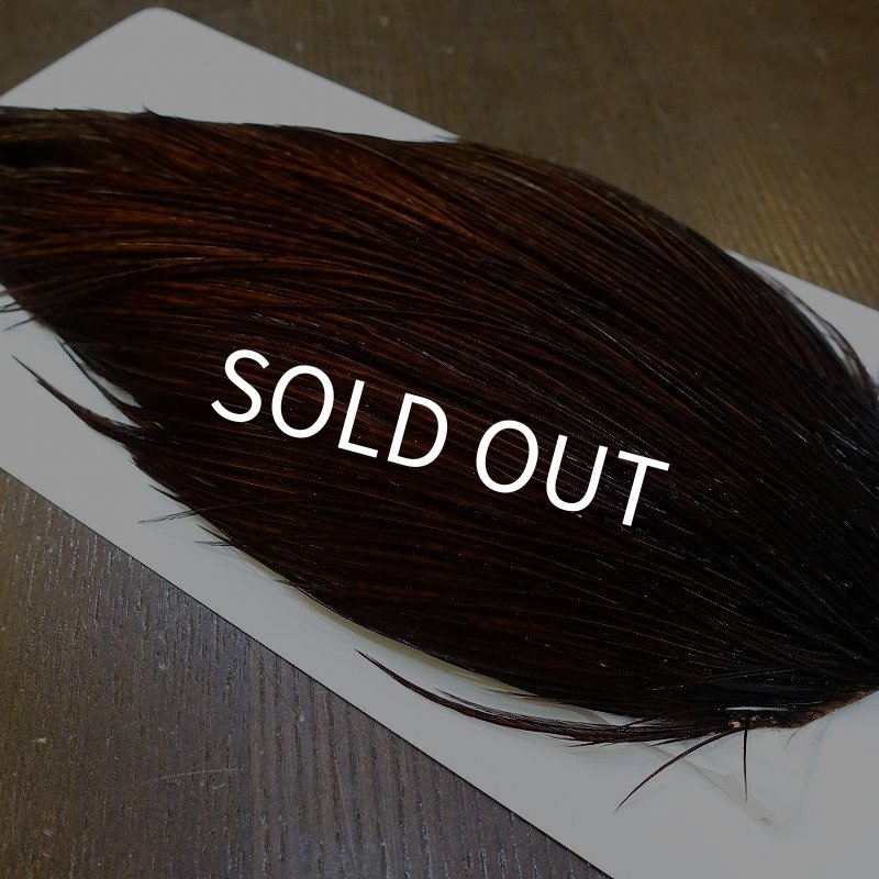 画像4: 【WHITING】High & Dry ROOSTER Cape - Dyed Coachman Brown No.1 (4)