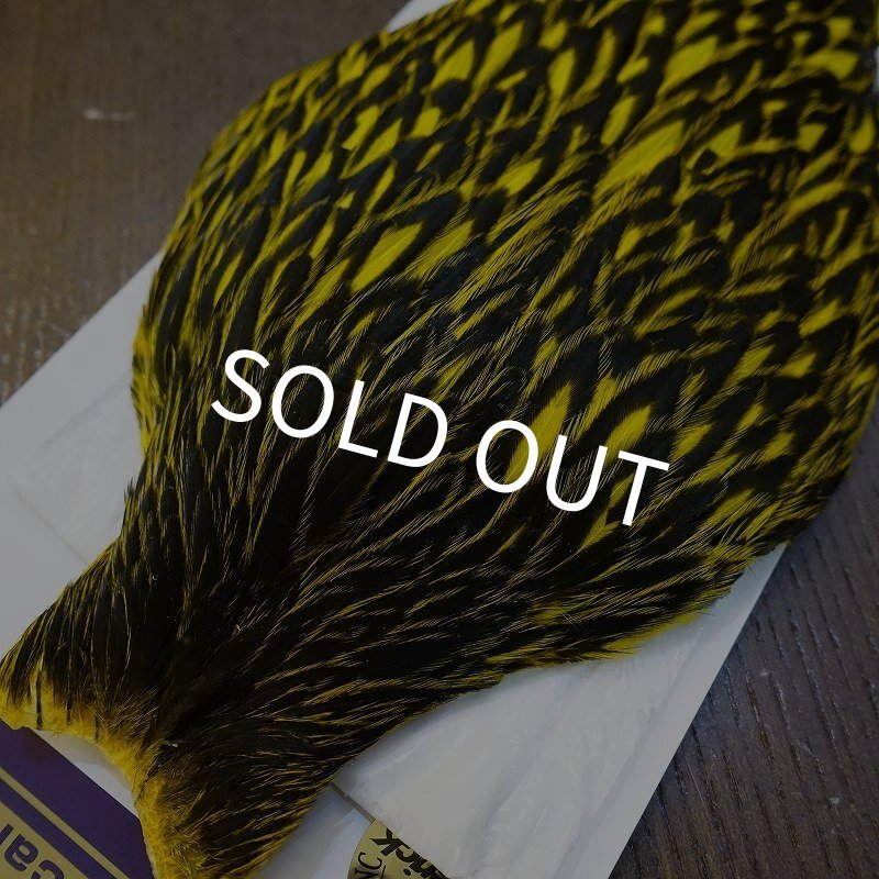 画像2: 【WHITING】American Hen Cape BLW/YELLOW (2)