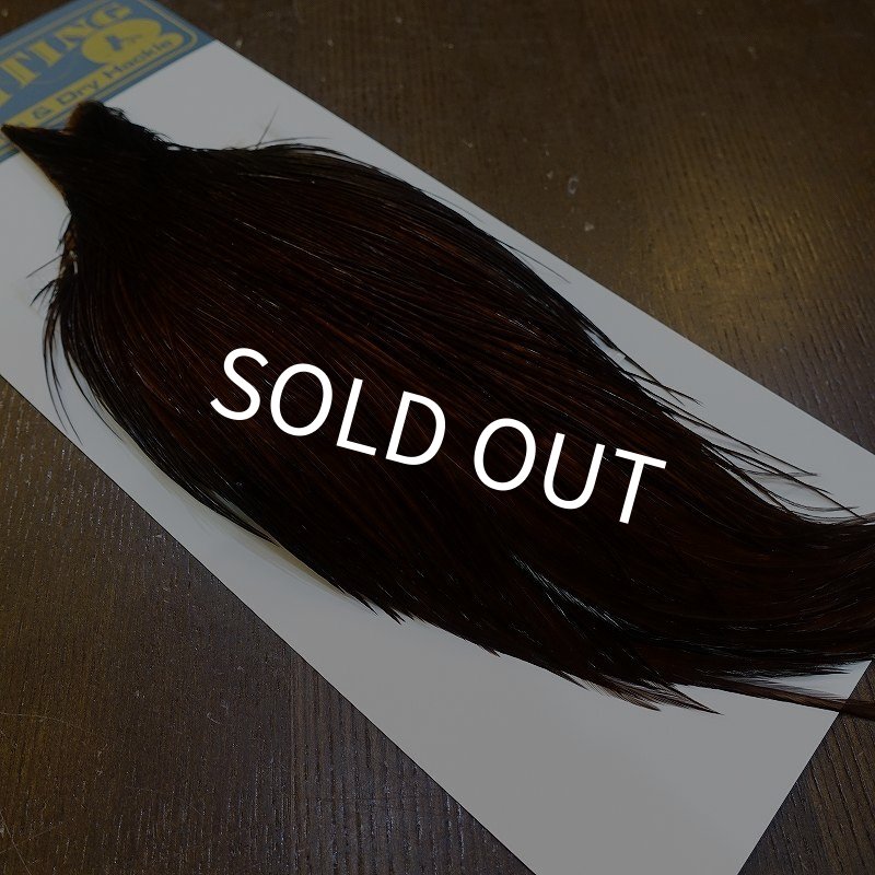 画像2: 【WHITING】High & Dry ROOSTER Cape - Dyed Coachman Brown No.1 (2)