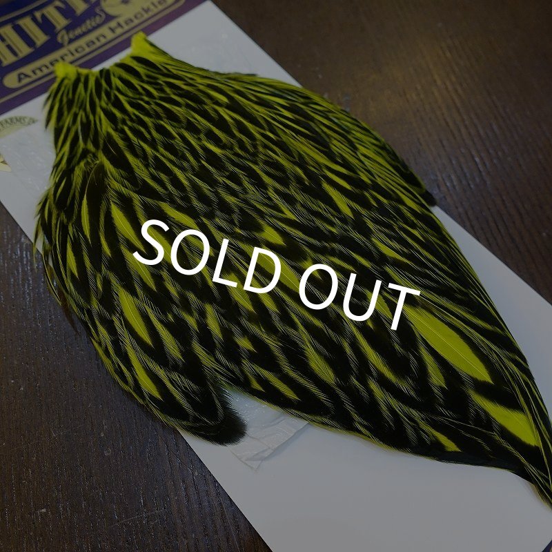 画像3: 【WHITING】American Hen Cape BLW/FL YELLOW CHART (3)