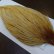 画像4: 【WHITING】High & Dry ROOSTER Cape - Barred Medium Ginger No.2 (4)