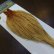 画像2: 【WHITING】High & Dry ROOSTER Cape - Barred Medium Ginger No.1 (2)