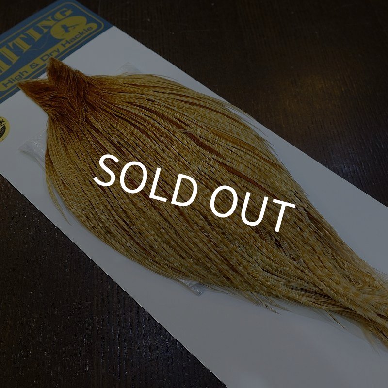 画像2: 【WHITING】High & Dry ROOSTER Cape - Barred Medium Ginger No.1 (2)