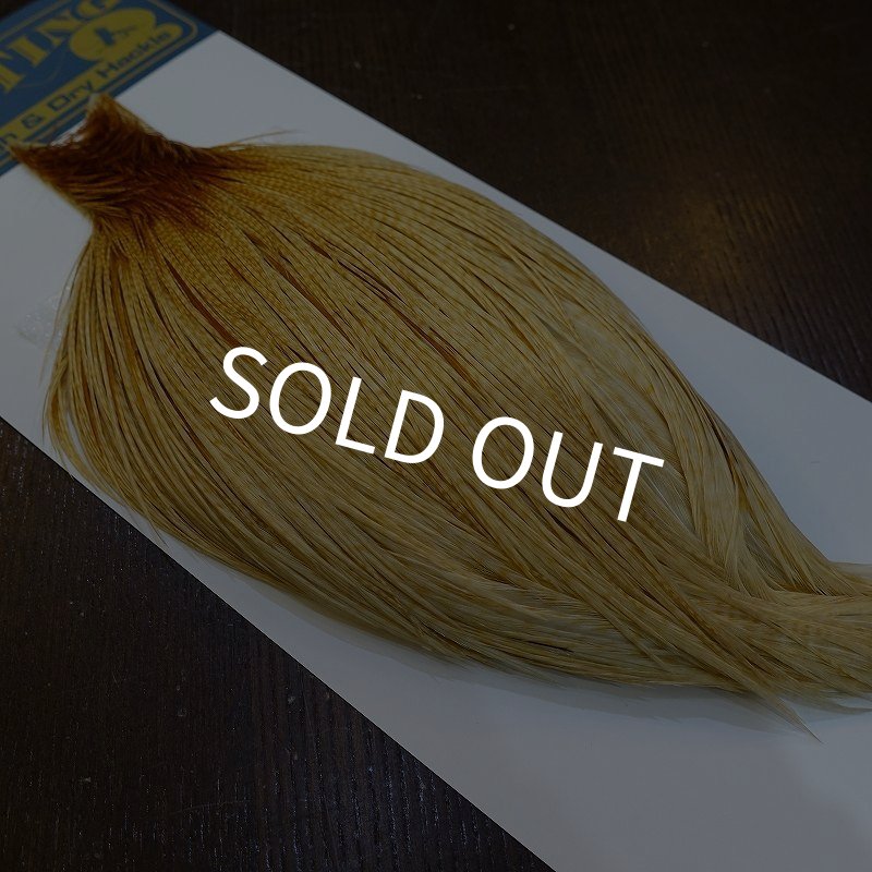 画像2: 【WHITING】High & Dry ROOSTER Cape - Barred Medium Ginger No.2 (2)