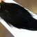 画像2: 【Whiting】ROOSTER CAPE Pro Grade - DYED BLACK No.1 (2)