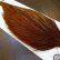 画像4: 【WHITING】Hebert ROOSTER CAPE Bronze Grade - Medium Brown No.2 (4)