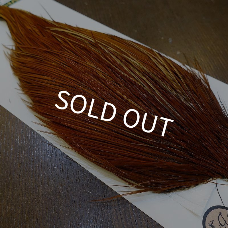 画像4: 【WHITING】Hebert ROOSTER CAPE Bronze Grade - Medium Brown No.2 (4)