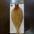 画像1: 【WHITING】High & Dry ROOSTER Cape - Barred Medium Ginger No.1 (1)