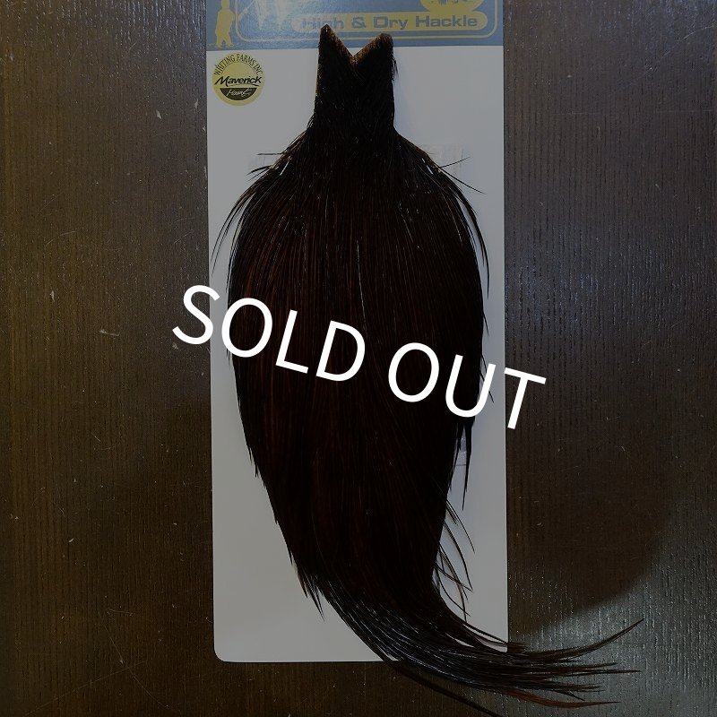 画像1: 【WHITING】High & Dry ROOSTER Cape - Dyed Coachman Brown No.1 (1)