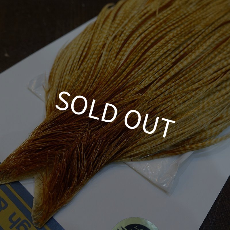 画像3: 【WHITING】High & Dry ROOSTER Cape - Barred Medium Ginger No.1 (3)