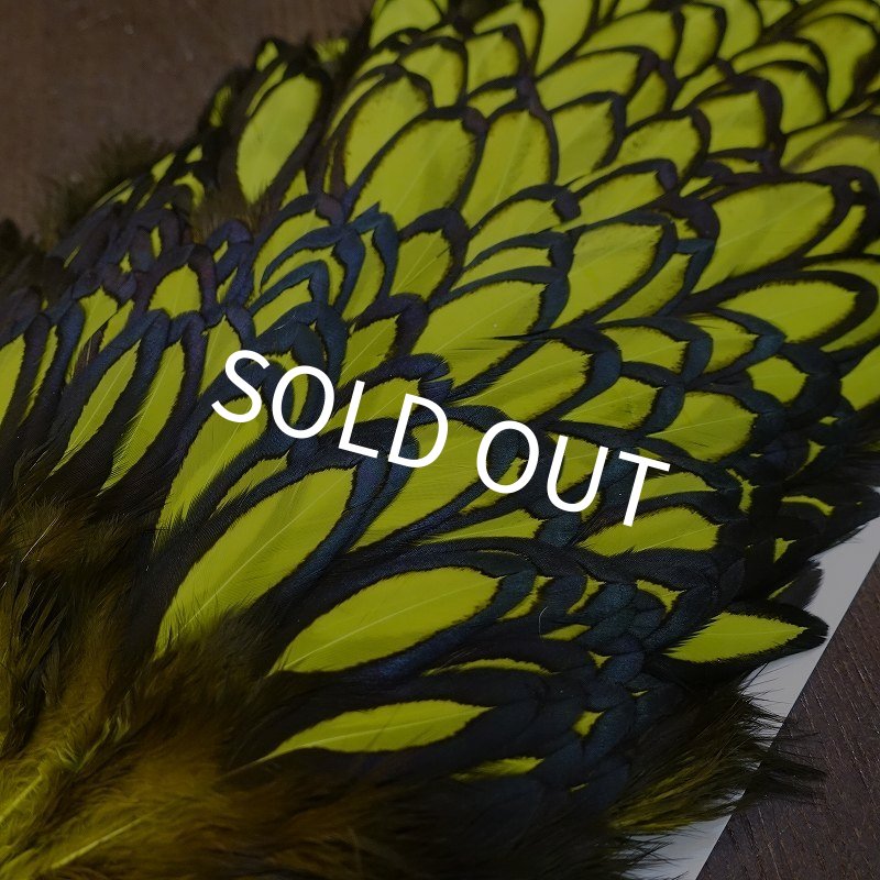 画像2: 【WHITING】American Hen Saddle BLW/FL YELLOW CHART (2)