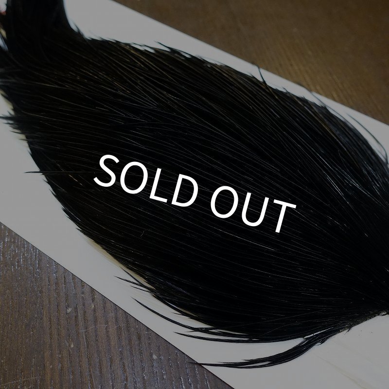 画像4: 【Whiting】ROOSTER CAPE Pro Grade - DYED BLACK No.2 (4)